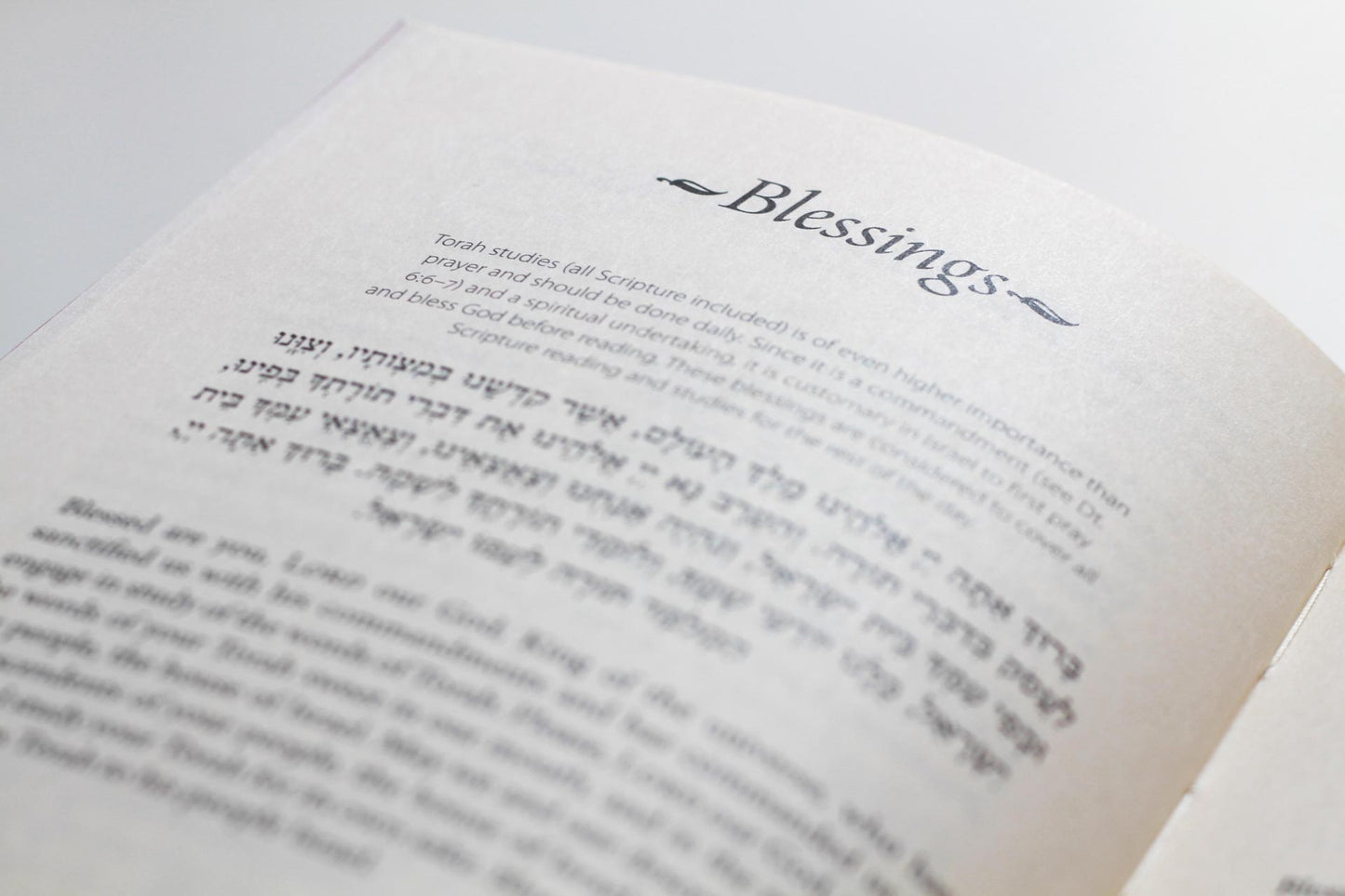Daily Bread (5786/2026): A Messianic One-Year Bible Reading Journal