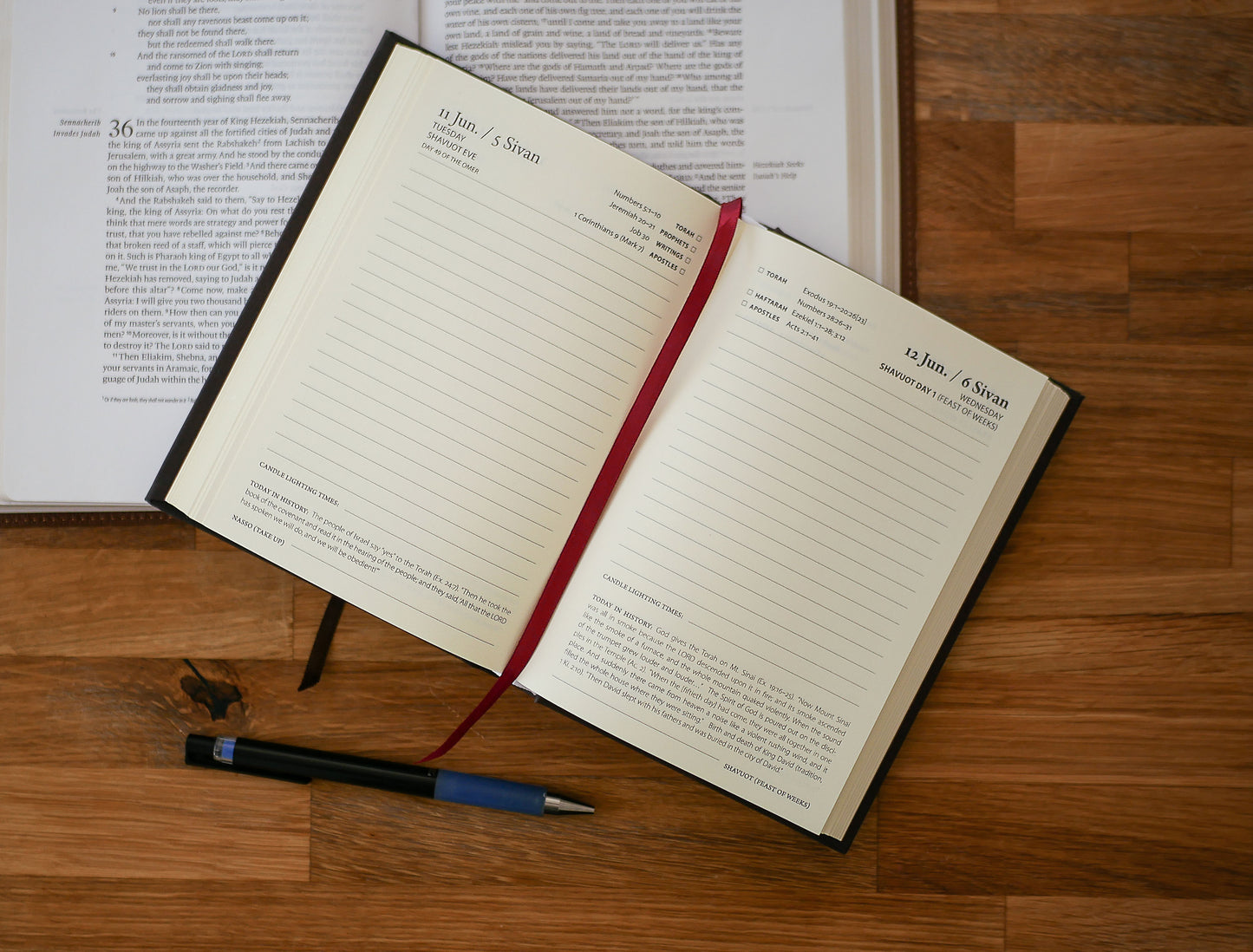 Daily Bread (5786/2026): A Messianic One-Year Bible Reading Journal