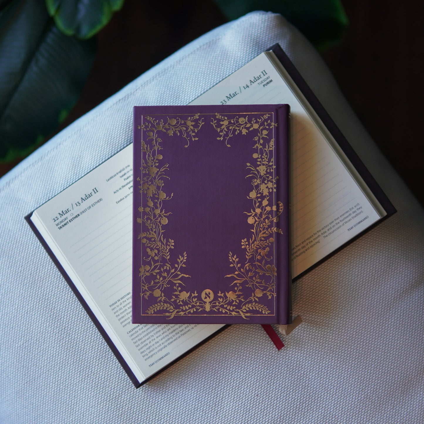 Daily Bread (5787/2027) Women's Edition: A Messianic One-Year Bible Reading Journal [PREORDER]